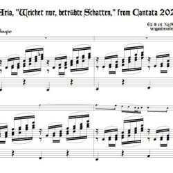 Aria, “Weichet nur, betrübte Schatten,” from Cantata 202