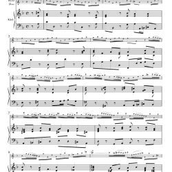 Aria from Cantata 41
