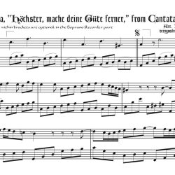 Aria, “Höchster mache deine Güte ferner, from Cantata 51, arr. for soprano & bass recorders