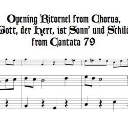 Opening Ritornel from Chorus “Gott der Herr ist Sonn’ und Schild” from Cantata 79