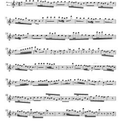 Wie will ich mich freuen from Cantata 146
