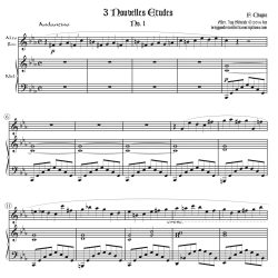 Nouvelle Étude No. 1