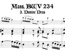 Aria, “Domine Deus” from Missa Brevis, BWV 234 for alto recorder doubling soprano or tenor