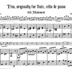 Finale from Trio, Op. 45, for alto recorder in F doubling alto in G, alto @415 and soprano @415