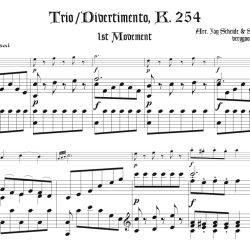 Trio/Divertimento K. 254, 1st Mvmt.