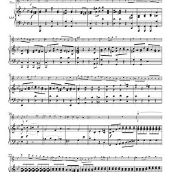 Mendelssohn String Symphony No. 12.3