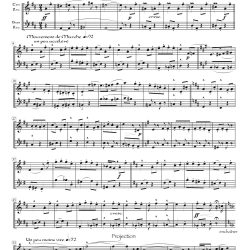 *Relâche* duet