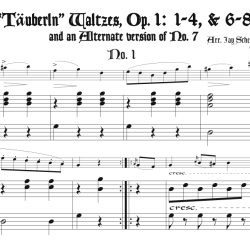 Strauss Vater Op. 1