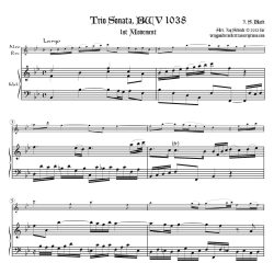 Trio Sonata BWV 1038