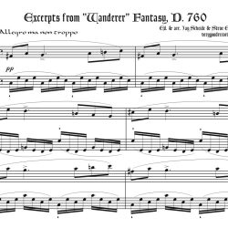 Wanderer excerpts duet