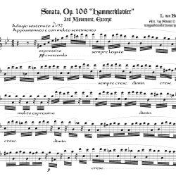 Op106.3Excerpt