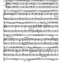 Opening Aria from Cantata, <i>Hemmet den Eifer, verbannet die Rache</i>, TWV 1: 730�