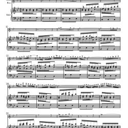 Aria, “Ich habe genung,” from Cantata 82 